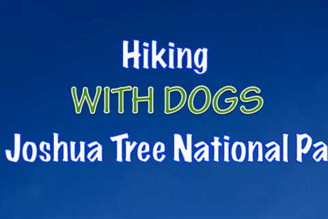 Hiking In Joshua Tree National Park With Dogs