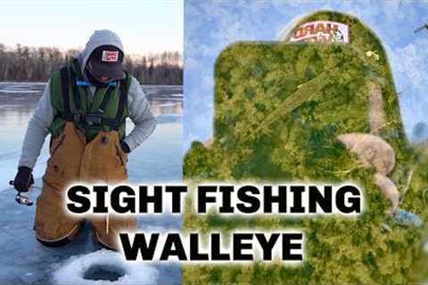 First Ice ORANGE Lake Walleyes! (Sight Fishing in 3ft)