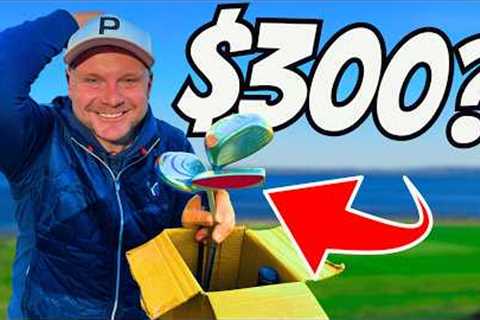 There Is NO WAY These CHEAP Golf Clubs Should DO THIS!!!