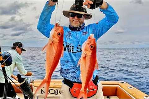 Fishing DEEP! | Dropping down baits for tasty rewards