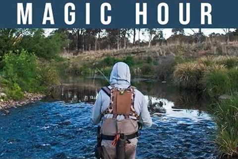 Dry Fly Fishing the Evening Rise - TROUT HEAVEN