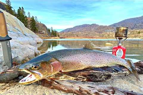 GIANT Trout Catch &amp; Cook! Fishing in WOLF INFESTED Mountains...