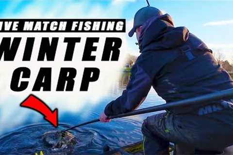 The BIGGEST TEST yet! Live Match Fishing at Hayfield Lakes
