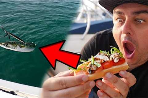 Catch And Cook On A Boat!
