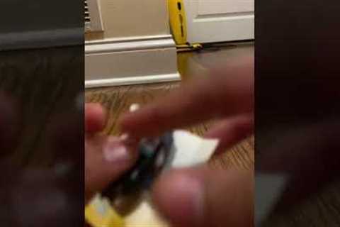 ASMR unboxing mini brands beast toy