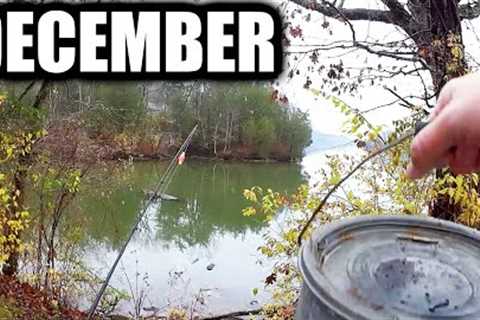 Shore Fishing in December With Minnows - Are There ANY Fish Left?