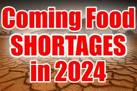 Prepare for Food Shortages in 2024 - STOCKPILE NOW while you CAN