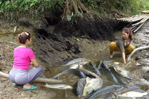 Top Videos: Survival Skills, Fishing Techniques Harvesting Many Big Fish, Bushcraft Survival