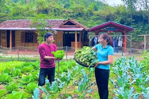 Harvesting vegetable leaves for pigs to eat. Make refrigerator shelves. Discover pure water sources