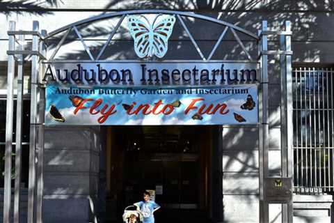 Audubon Butterfly Garden and Insectarium in New Orleans