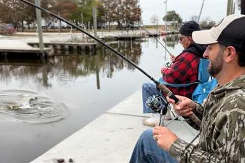 Catching GIANTS from a ROADSIDE Bayou (CATCH AND COOK)