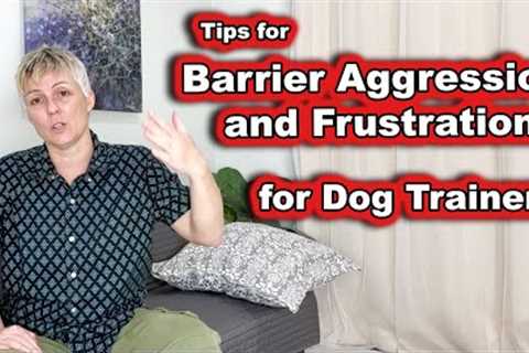 Tips for Barrier Aggression and Frustration for Dog Trainers