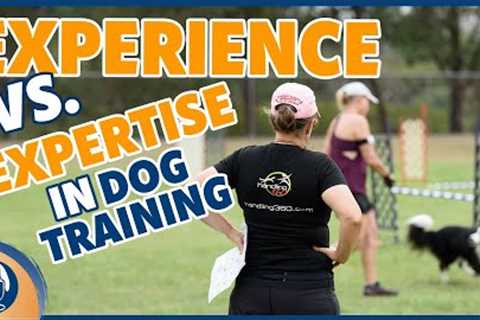 Redefining Expertise In Dog Training And What Counts More Than Years Of Experience #247 #podcast