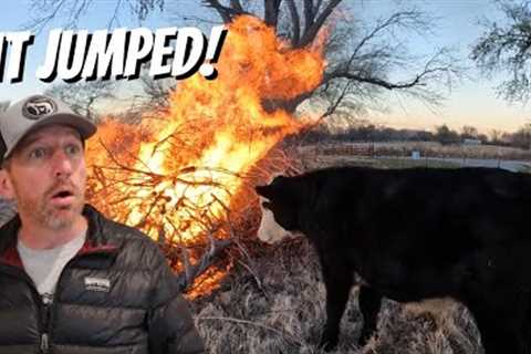 We DID NOT Mean To Catch This On Fire