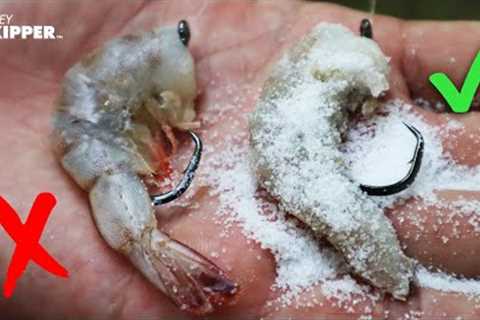Stop losing your bait! Fresh bait vs Salted Bait: Which bait works best?