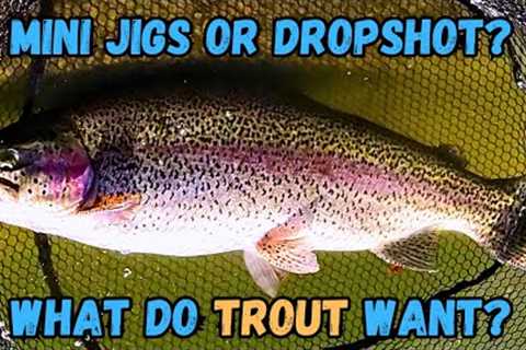 Trout Fishing: Mini Jigs Vs Double Dropshot - Hesperia Lake