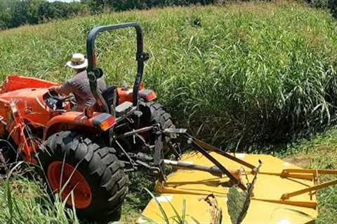 GRASS SO OVERGROWN I Couldn't Use A Regular LAWN MOWER