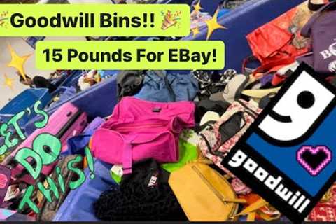 Let’s GO TO GOODWILL Bins! 15 Pounds For Resale! Thrift With Me For Resale! ++HAUL!!