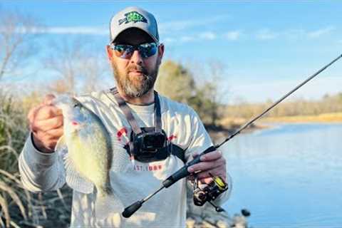 $20 of  Walmart Ultralight Fishing lures