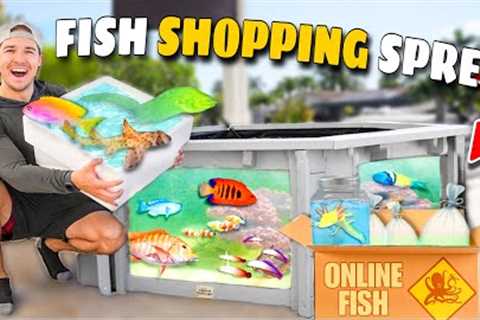 BUYING Fish ONLINE Vs In-STORE Shopping SPREE!! (for my saltwater pond)