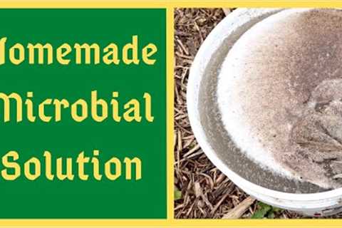 The Secret of A Healthy Garden - How To Make JADAM Microbial Solution aka JMS