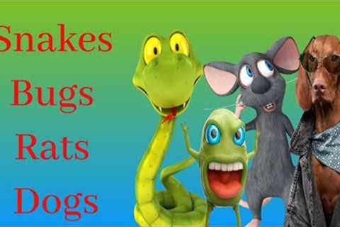Snakes, Rats, Bugs, and Dogs - Identifying Red Flags in Friendships
