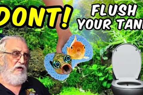 The Best Method to Clean Your Natural Tank