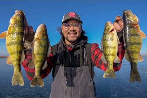 FIRST ICE Perch Fishing on CLEAR ICE! (CATCH CLEAN COOK)
