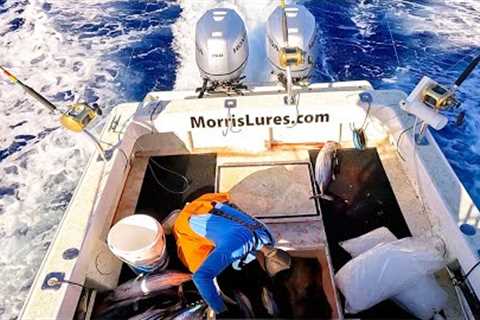 Fishing 50 Miles Offshore for 500 POUNDS of TUNA!