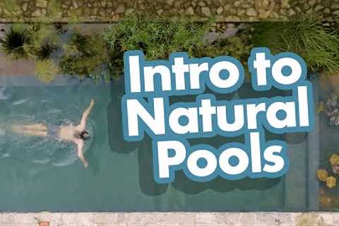 Introduction to Natural Pools