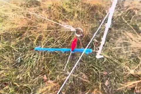 Do this when you get mud exposed with your livestock herd during heavy rain events.