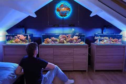A LEAK in the Fish Room: Aquarium Maintenance Day