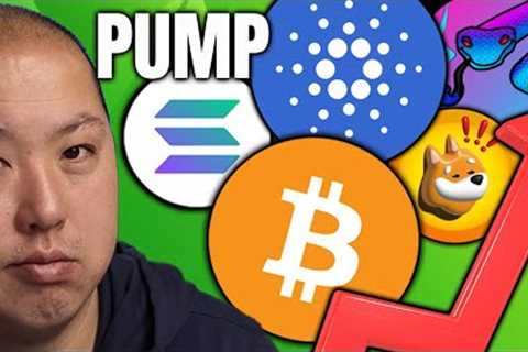 THESE ALTCOIN PROJECTS ARE PUMPING! | Bitcoin Update