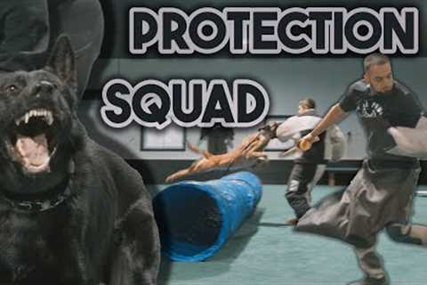 Protection Dog Training Day at Shield K9