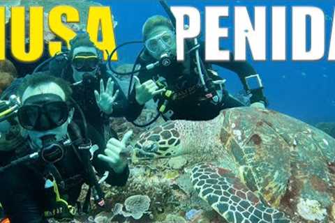 Scuba Diving Nusa Penida The MOST STUNNING Reefs In Bali 🇮🇩