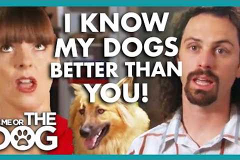 Owner Disagrees with Dog Training Expert's Methods😅 | It's Me or The Dog