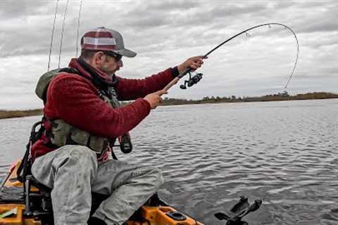 BIG One Hiding In Brackish Creek - Fishing With Swimbaits &amp; Cut Bait