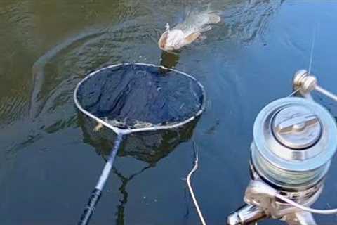Tiny Baits finally get me some fish!