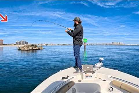This Fish Is NOT Suppose To Be HERE! *Catch&amp;Cook*