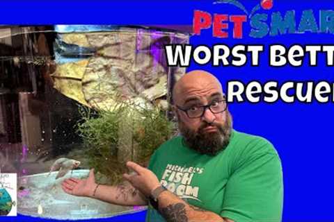 Betta Rescue Episode 1 How to set up a Betta Tank