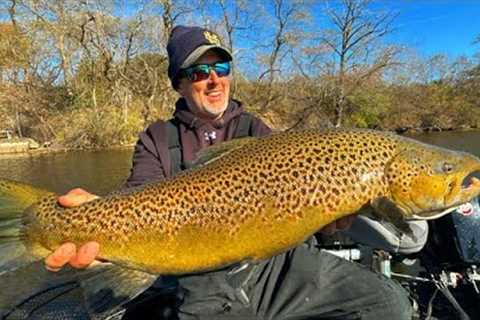 Fishing Tips to Catch Giant Trout Now