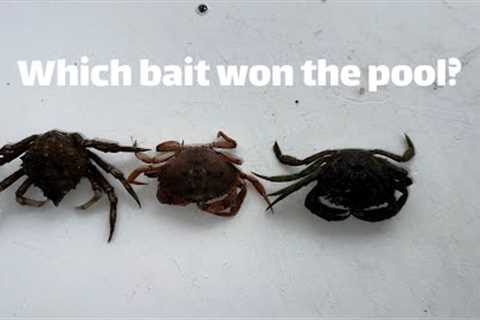 Blackfish favorite baits! Which bait is the pool winner? Captain Lou Blackfish Fishing Trip