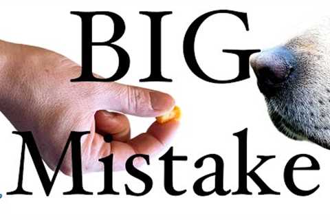 The BIGGEST Mistakes People Make When Treat Training A Puppy