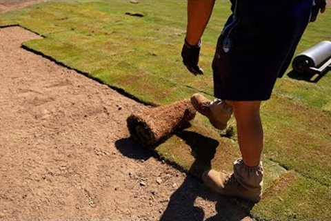 How To Lay Turf (Sod) and Care for It  // TifTuf Hybrid Couch