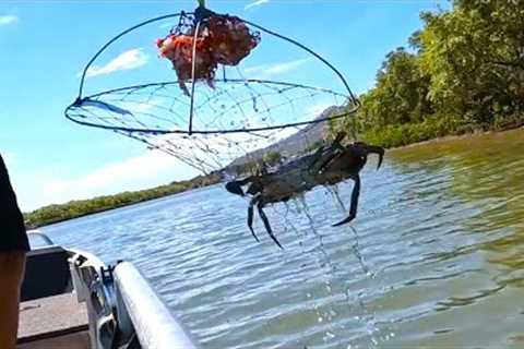 MUD CRAB CATCH | Cook Mud Crab Pizza | SEAFOOD