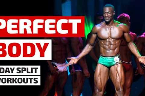 World's Most Perfect Body - 5 Day Workout Split