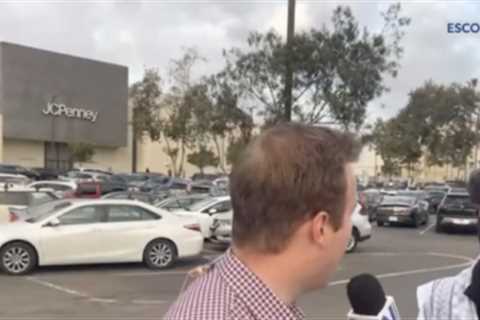 Newsmax Reporter Embarrasses Unhinged Pro-Palestine Protestor During Live Segment