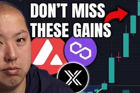 DON'T MISS THESE HOT CRYPTO ALTCOINS! | Bitcoin Update