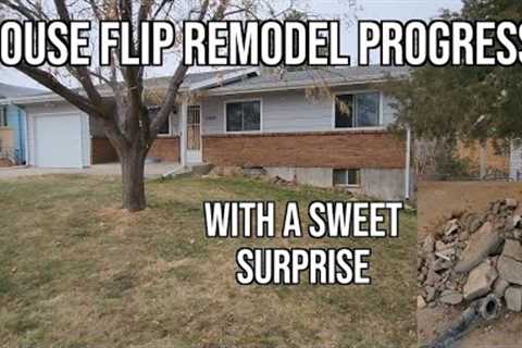 House Flip Remodel Progress with a Sweet Surprise for my Plumber