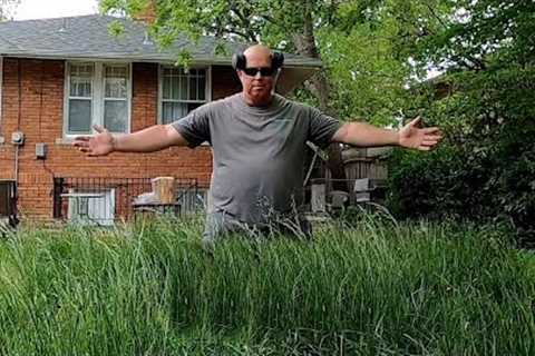 Homeowner SHOCKED at BACKYARD TRANSFORMATION